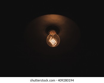 A bulb