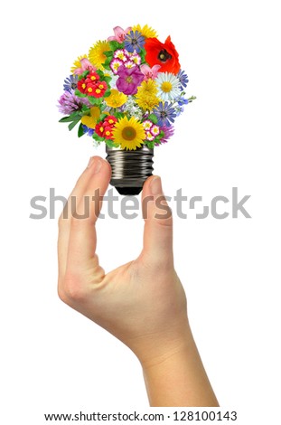 bulb flowers
