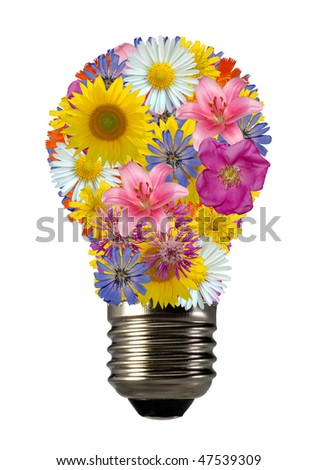 bulb flowers