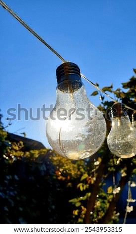 Similar – Image, Stock Photo warming | sunlight within reach