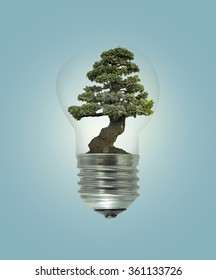 Bulb light with green tree inside  on blue background