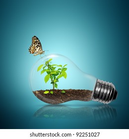 Bulb light with tree inside have butterfly on blue background - Shutterstock ID 92251027