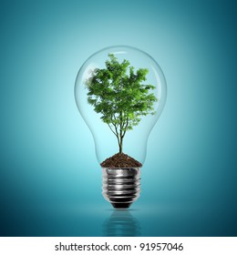 Bulb light with tree inside on blue background - Shutterstock ID 91957046