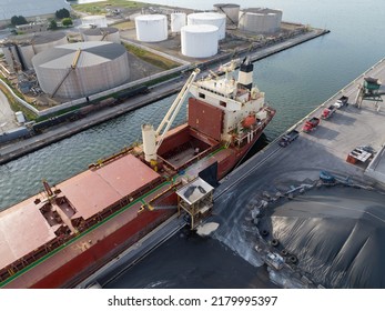 A bulk carrier cargo ship is seen at port offloading dry goods by crane, filling numerous dump trucks during the day.