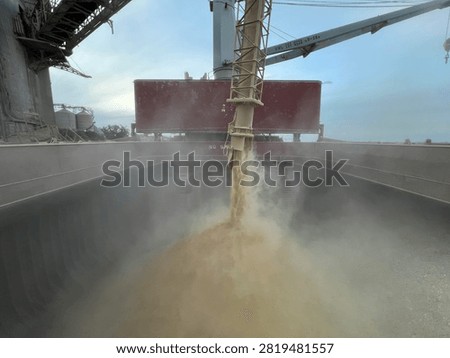 Bulk soybeans being loaded into a cargo ship at a commercial port using industrial loading equipment. Agricultural export, grain logistics, global trade, bulk cargo, and maritime transportation concept.