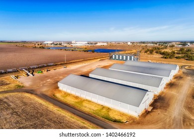 Bulk storage warehouses on grain processing and sorting site in Moree town of Australian wheat belt in NSW - elevated aerial view.