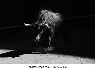 Bull in bullring on spain - Shutterstock ID 1322762846