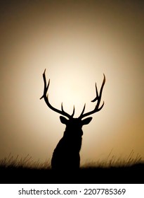 Bull Elk Silhouette On Ridgeline