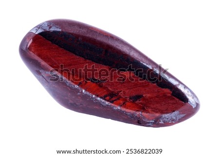Bull eye mineral stone, tiger's eye in the breed on a white background close up