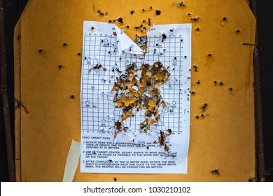 Bull Eyetarget With Bullet Hole, Wood Targets Stained With Gun Shooting At Combat Training