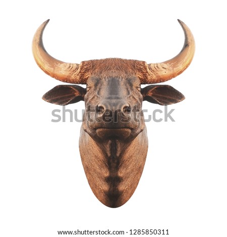 bull head statue for wall decoration on white background