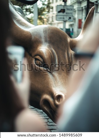 The bull located in wall street.