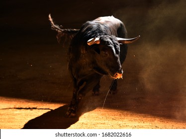 A Bull On Spain With Big Horns