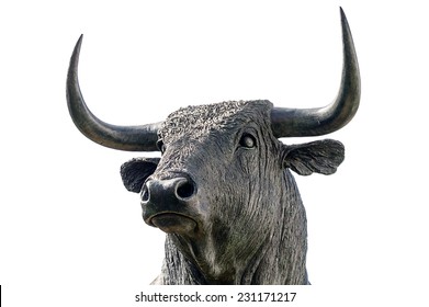 bull on white backgroud