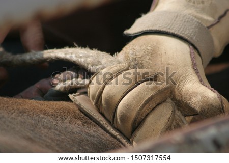 Bull rider getting hand set in rope 