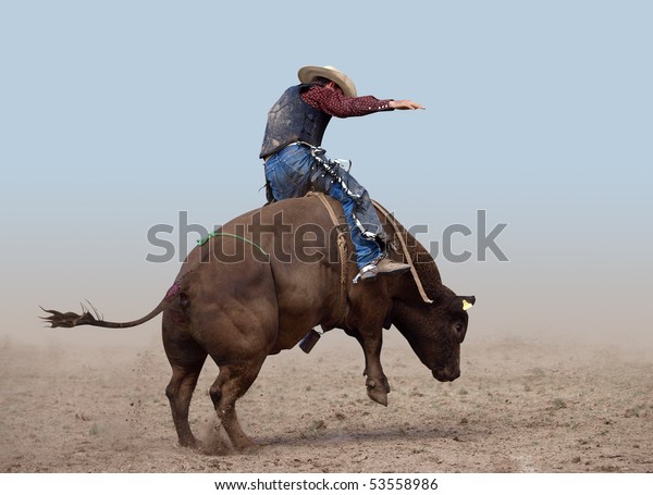 Bull Rider on a clear\
background