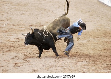 the bull riding event at a rodeo in Arizona