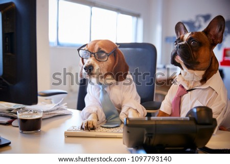 Bulldog And Beagle Dressed As Businessmen At Desk With Computer