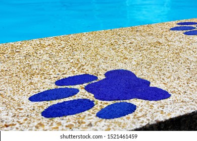 Bulldog Pawprint Found At Georgia State University, Atlanta, GA