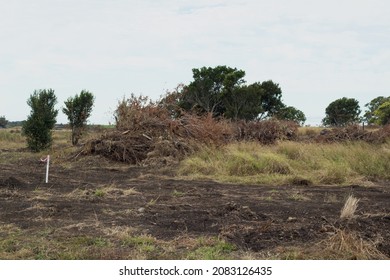 Bulldozed Trees Pilled Up Ready To Be Disposed Of At A Housing Development Site In Regional Queensland.