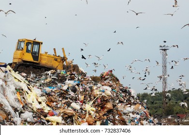 A bulldozer tractor pushes garbage from a mountain in a city dump on the background of a large number of gulls during the day in clear weather, heat, summer - Powered by Shutterstock