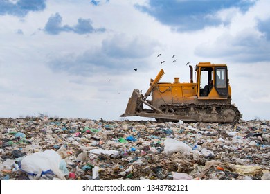 bulldozer working on landfill with birds in the sky - Powered by Shutterstock