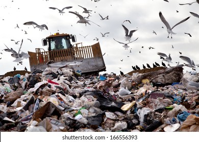 Bulldozer working on landfill with birds in the sky - Powered by Shutterstock