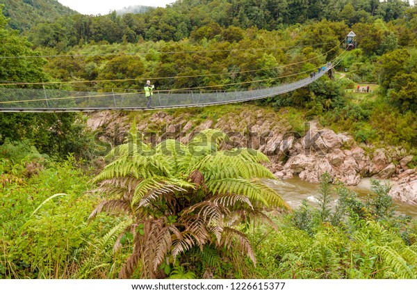 Buller Gorge Swing Bridge Over Buller Stock Photo Edit Now