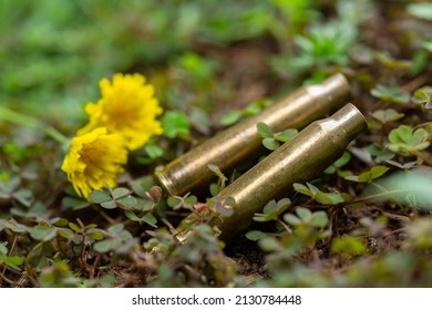 18,412 Shell Casings Images, Stock Photos & Vectors | Shutterstock