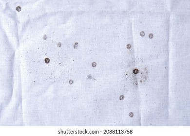 Bullet Holes On The Fabric Close-up, Gunshot Damage, Background For Adding Text