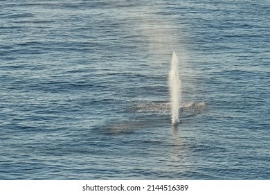 Bullet Trace On Water After Shot