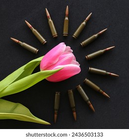 Bullets Around Pink Flower On Black Surface Square Stock Photo 
