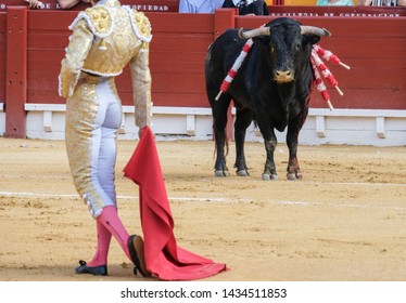 Bullfight in Spain. Spanish bullfighter in the bullfighting arena 
