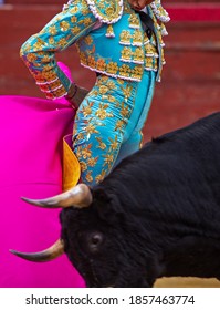 Bullfight the Typical fiesta in Spain 