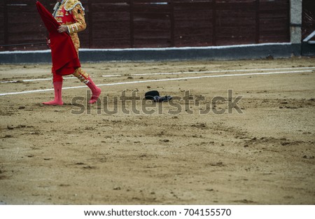 Similar – Image, Stock Photo Please don’t pet the bull.