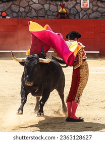 bullfighter with cape on his back in front of a bull
