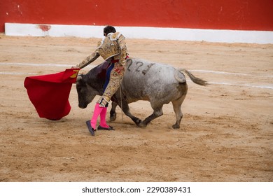 Bullfighter doing bullfight in bullfighter suit