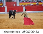 Bullfighter facing a bull in a Spanish bullfighting arena, holding a red cape. The bull has colored banderillas on its back, symbolizing the ongoing fight. For editors, for designers