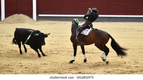 bullfighting with horse in a bullring