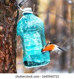 Plastic Bird Feeder Images Stock Photos Vectors Shutterstock