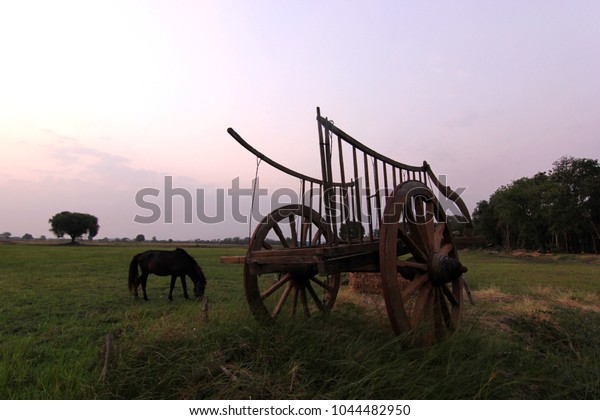 bullock cart in\
field with sunrise\
background