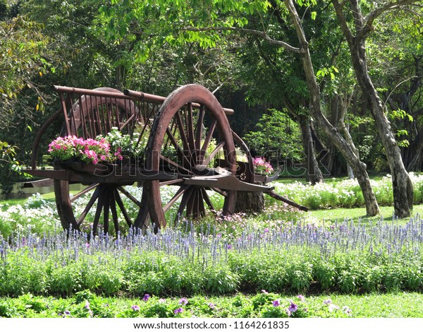  A bullock cart loading with colorful\
flowers pots is in the outdoor flower\
garden.