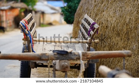 bullock cart in the village image selective focus