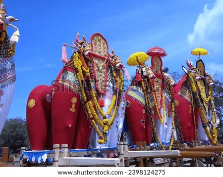 Bullock effigies in the
Shivratrhri festival.
Involvement, culture.
