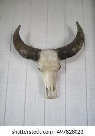 Bullock skull decoration