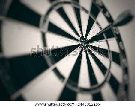 Bullseye Hit The Target. Black And White Blurred Dartboard. Blurred Background.