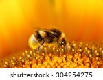 Bumblebees