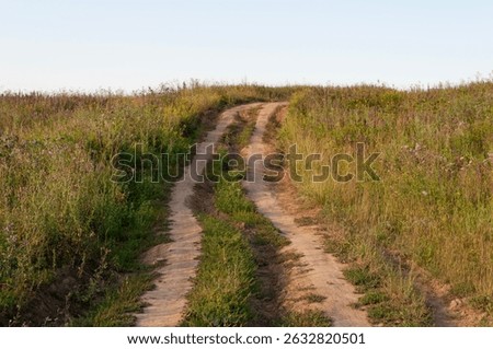 Bumpy dirt road in the meadow going up a hill, sunny summer evening