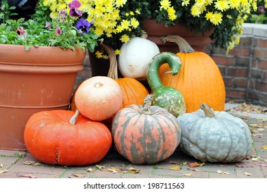 Bumpy Gourd And Pumpkin On The Ground