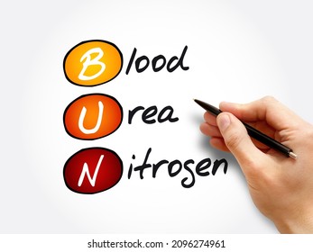 BUN - Blood Urea Nitrogen Acronym, Medical Concept Background